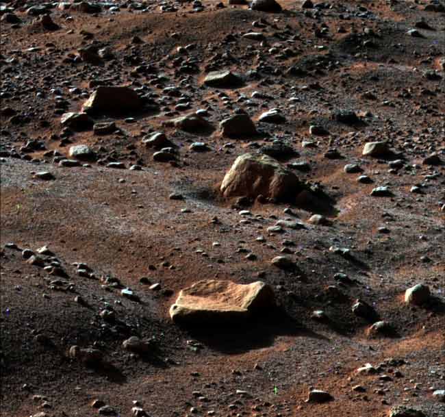 Frozen Death Looms for Phoenix Mars Lander